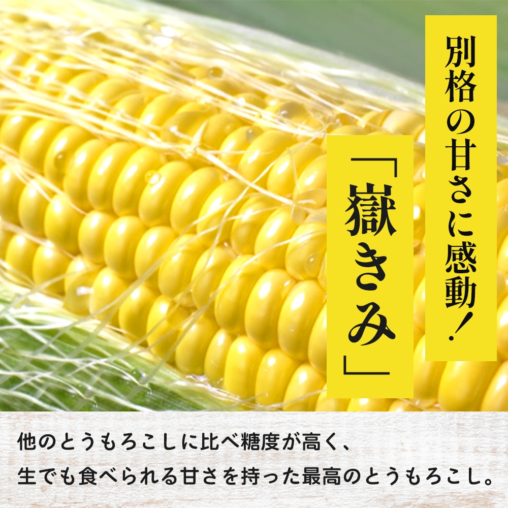 【産地直送】 青森県産 嶽きみ とうもろこし 恵味 (めぐみ) 10本