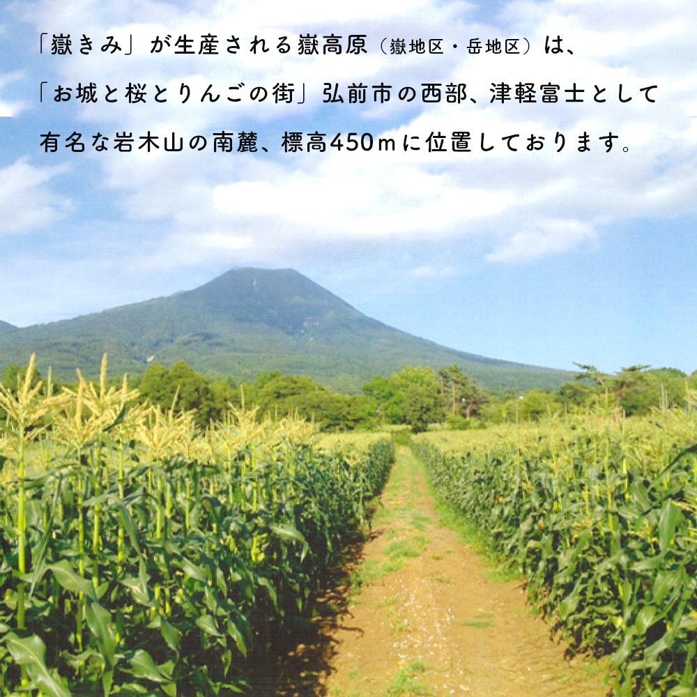 【産地直送】 青森県産 嶽きみ とうもろこし 恵味 (めぐみ) 10本