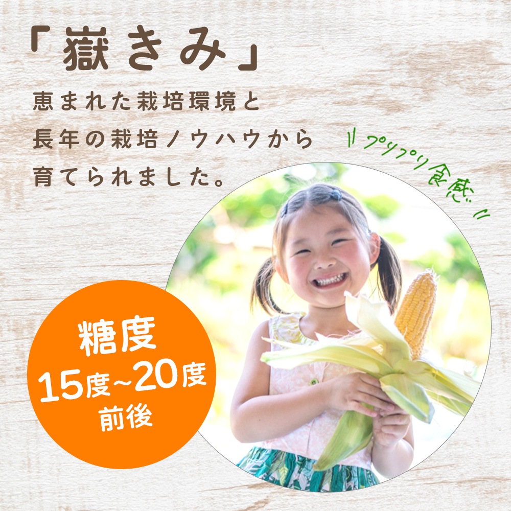 【産地直送】 青森県産 嶽きみ とうもろこし 恵味 (めぐみ) 10本