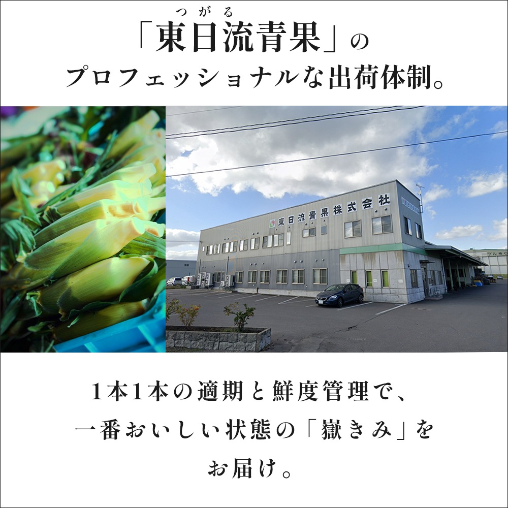 【産地直送】 青森県産 嶽きみ とうもろこし 恵味 (めぐみ) 10本