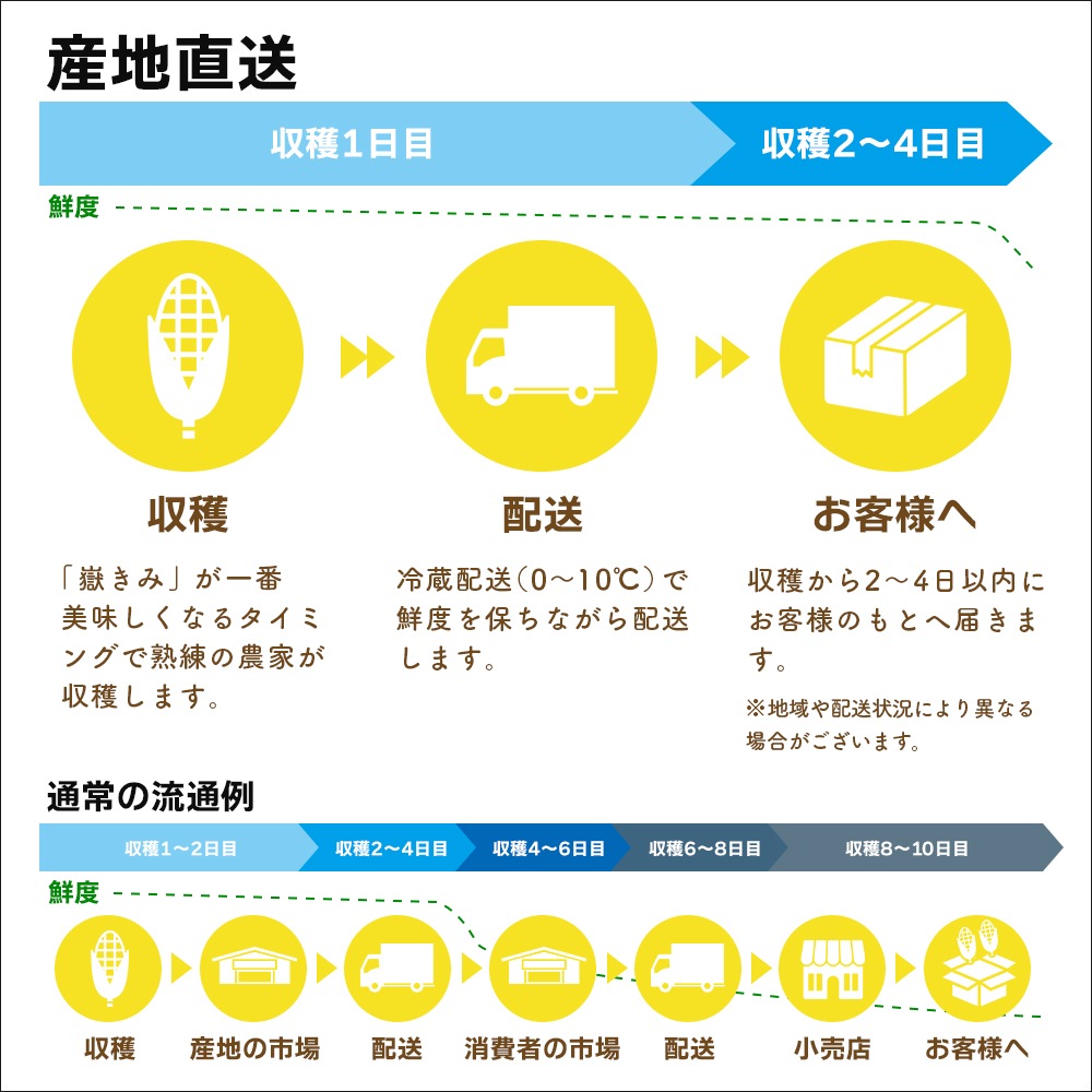【産地直送】 青森県産 嶽きみ とうもろこし 恵味 (めぐみ) 10本