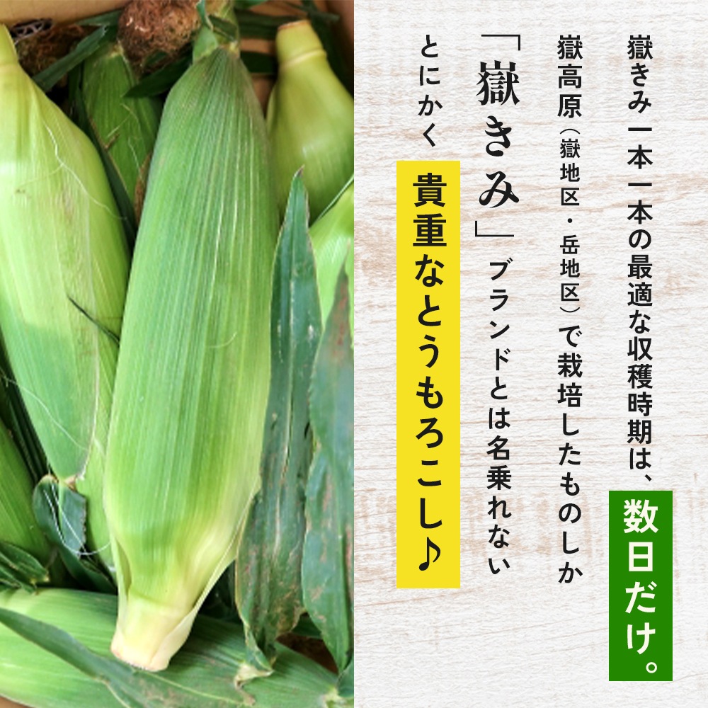 【産地直送】 青森県産 嶽きみ とうもろこし 恵味 (めぐみ) 10本