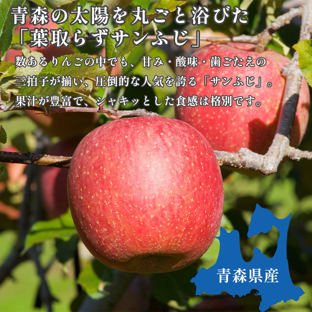 【産地直送】サンふじ 3kg 5kg 送料無料  11月出荷予定 りんご 林檎 フジ 果物 産直 特産品 お歳暮 御歳暮 歳暮 ギフト