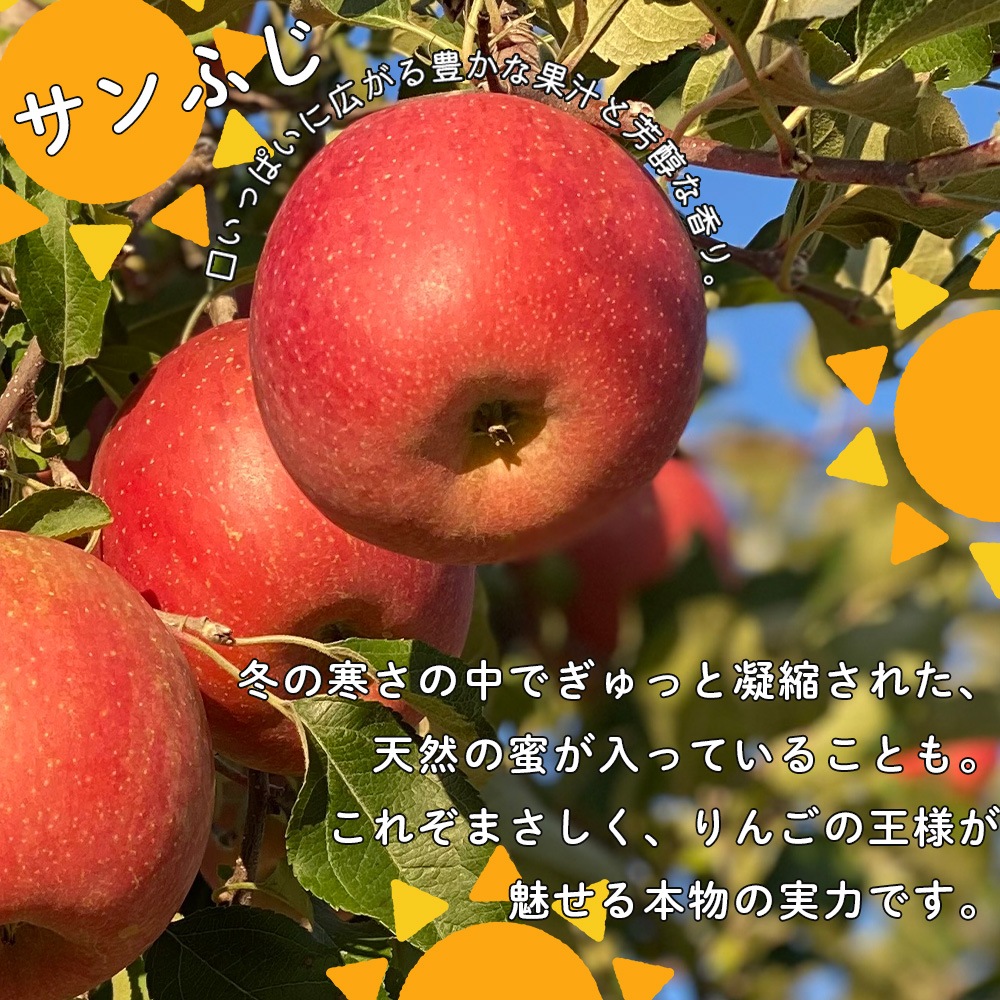 【産地直送】サンふじ 3kg 5kg 送料無料  11月出荷予定 りんご 林檎 フジ 果物 産直 特産品 お歳暮 御歳暮 歳暮 ギフト