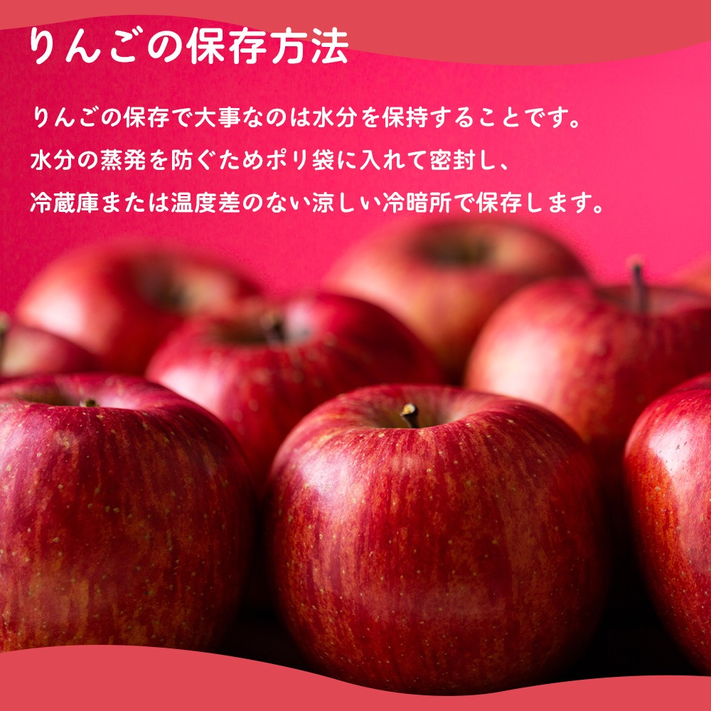 【産地直送】サンふじ 3kg 5kg 送料無料  11月出荷予定 りんご 林檎 フジ 果物 産直 特産品 お歳暮 御歳暮 歳暮 ギフト