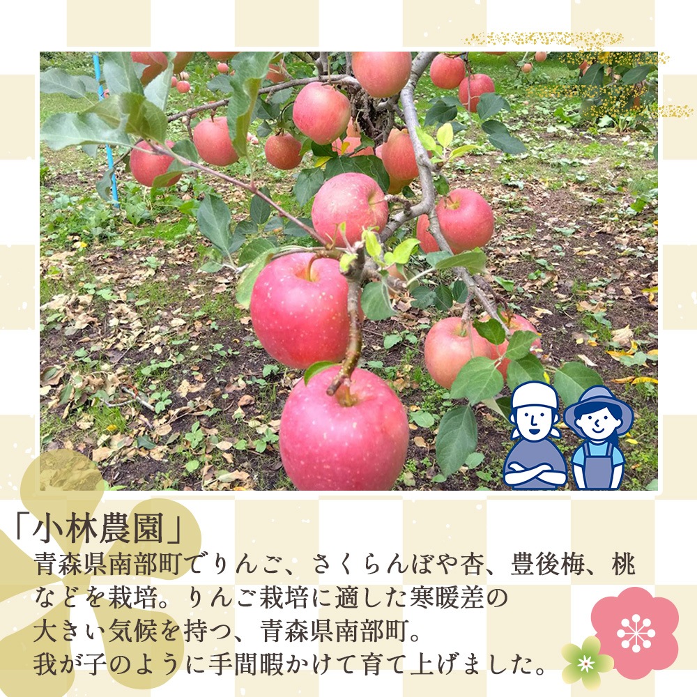 【産地直送】サンふじ 3kg 5kg 送料無料  11月出荷予定 りんご 林檎 フジ 果物 産直 特産品 お歳暮 御歳暮 歳暮 ギフト