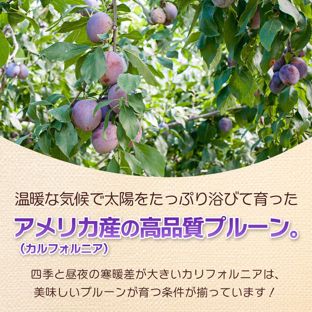ドライプルーン 100g 2袋セット 個包装 種ぬきプルーン ドライフルーツ 【送料無料】