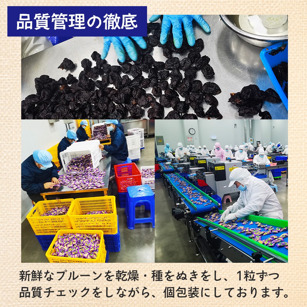 ドライプルーン 100g 2袋セット 個包装 種ぬきプルーン ドライフルーツ 【送料無料】