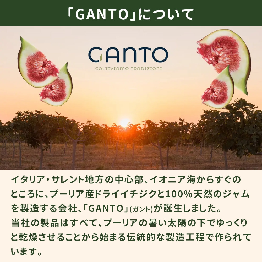 イタリア産フィグ3種セット (プレーン・チョコ・ジャム) 白いちじく ドライいちじく 【送料無料】