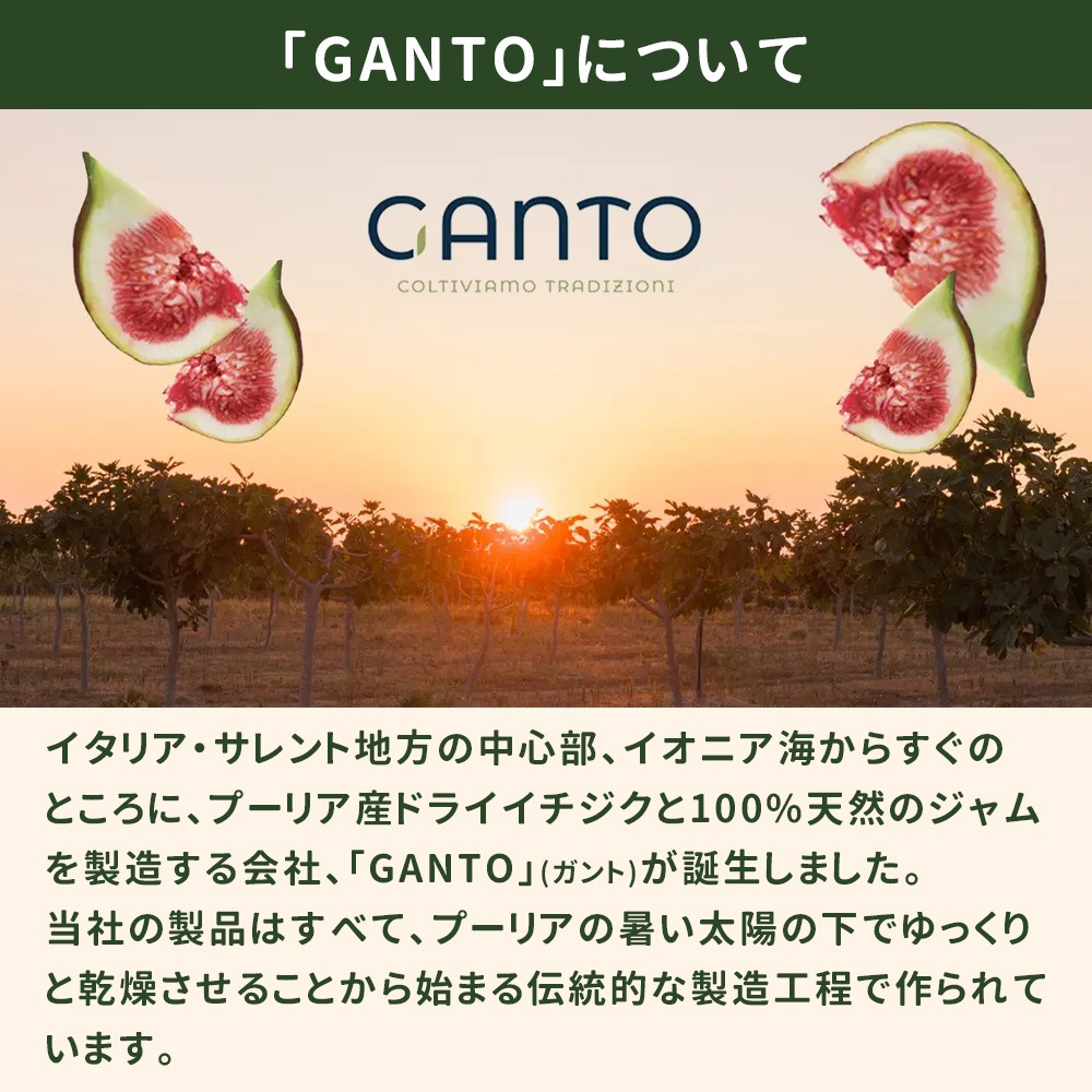 イタリア産フィグ (プレーン・チョコ・ジャム) 選べる2個セット 白いちじく ドライいちじく 【送料無料】