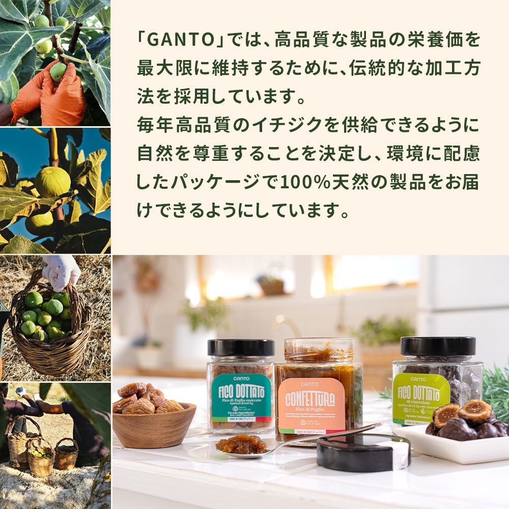 イタリア産フィグ (プレーン・チョコ・ジャム) 選べる2個セット 白いちじく ドライいちじく 【送料無料】