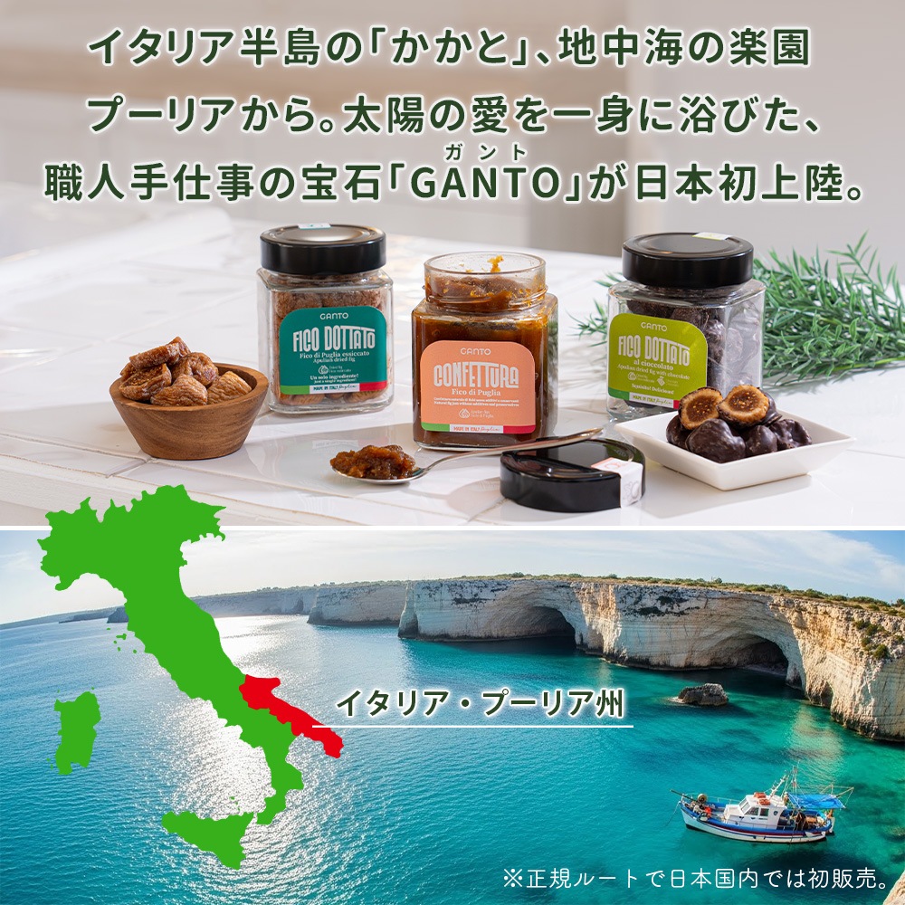 イタリア産フィグ (プレーン・チョコ・ジャム) 選べる2個セット 白いちじく ドライいちじく 【送料無料】