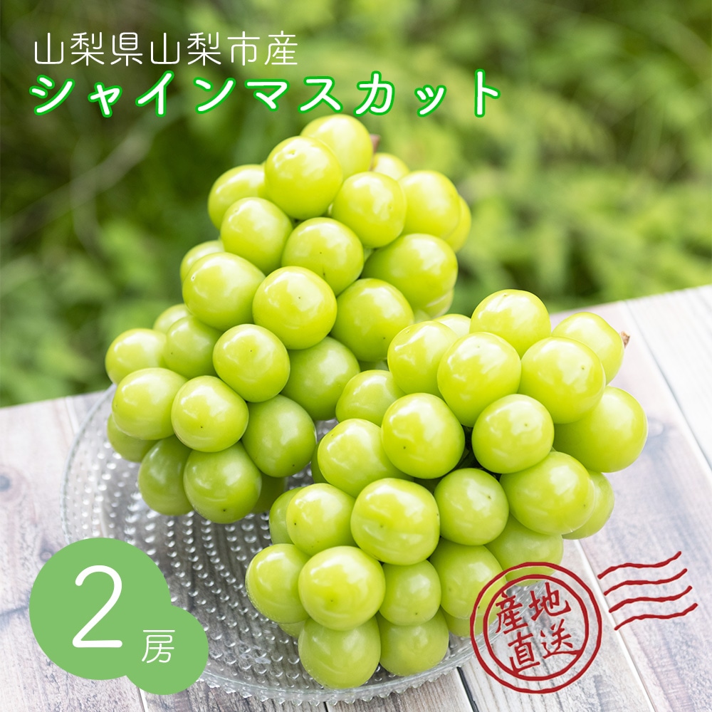 【クール便発送】 予約販売 8月下旬～9月下旬出荷予定【産地直送】 山梨県産 シャインマスカット 山梨県農福連携