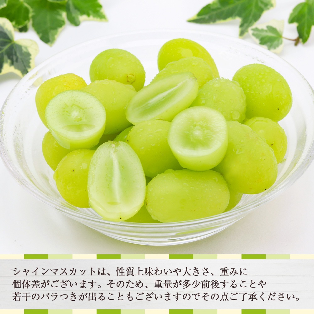 【クール便発送】 予約販売 8月下旬～9月下旬出荷予定【産地直送】 山梨県産 シャインマスカット 山梨県農福連携