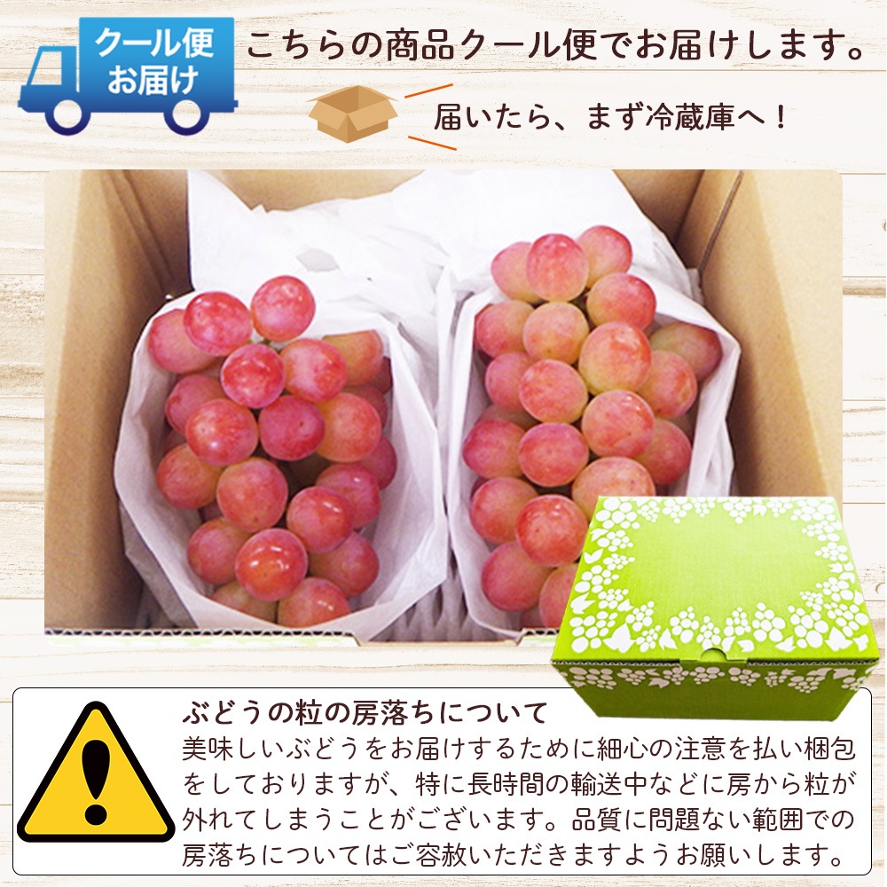 【クール便発送】 予約販売 8月下旬～9月下旬出荷予定【産地直送】 山梨県産 サンシャインレッド 山梨県農福連携 希少種