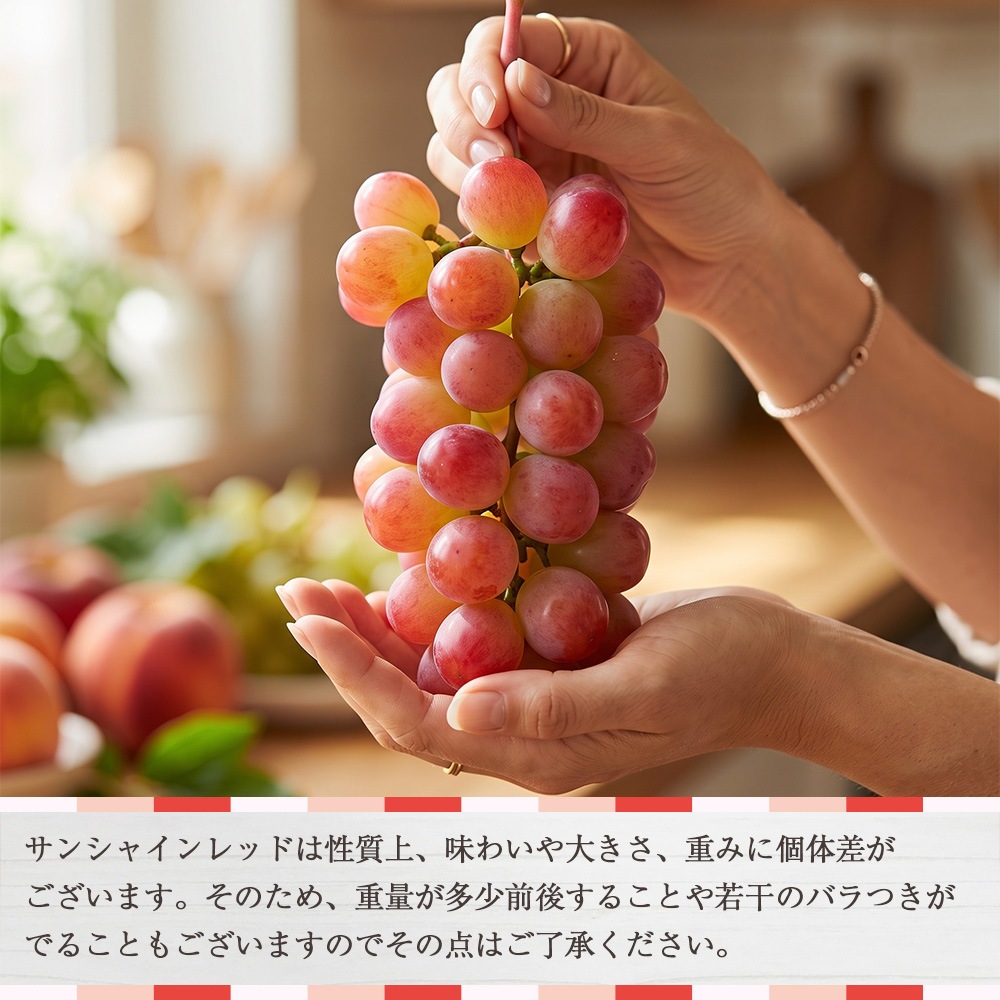 【クール便発送】 予約販売 8月下旬～9月下旬出荷予定【産地直送】 山梨県産 サンシャインレッド 山梨県農福連携 希少種