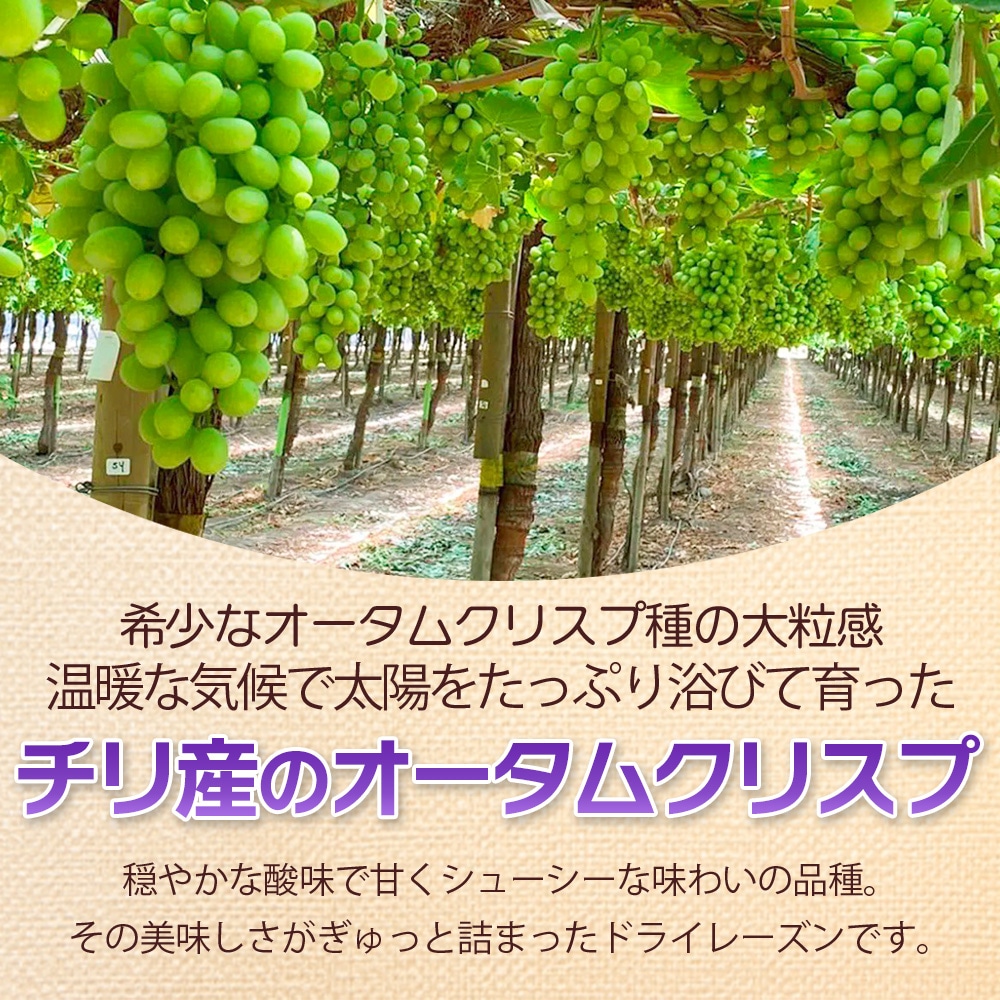 大粒ドライレーズン オータムクリスプ種 300g 1袋 【送料無料】