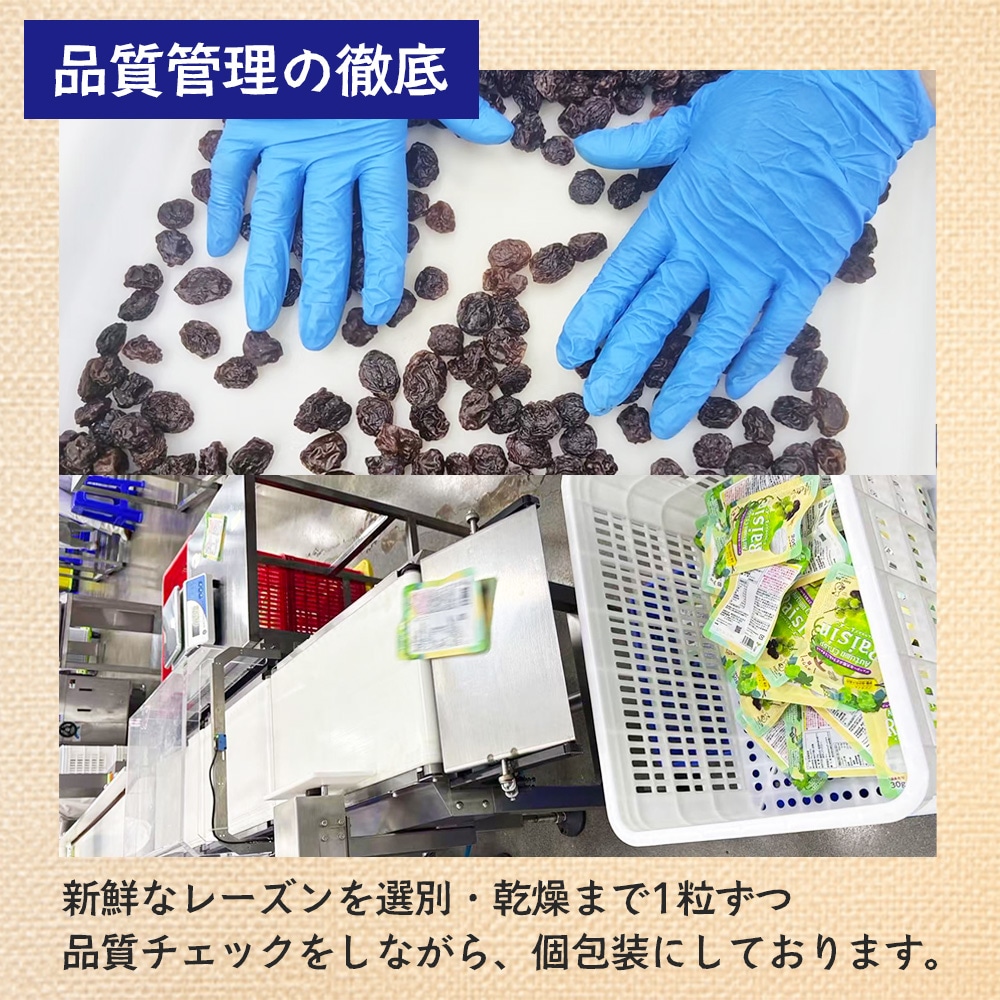 大粒ドライレーズン オータムクリスプ種 300g 1袋 【送料無料】