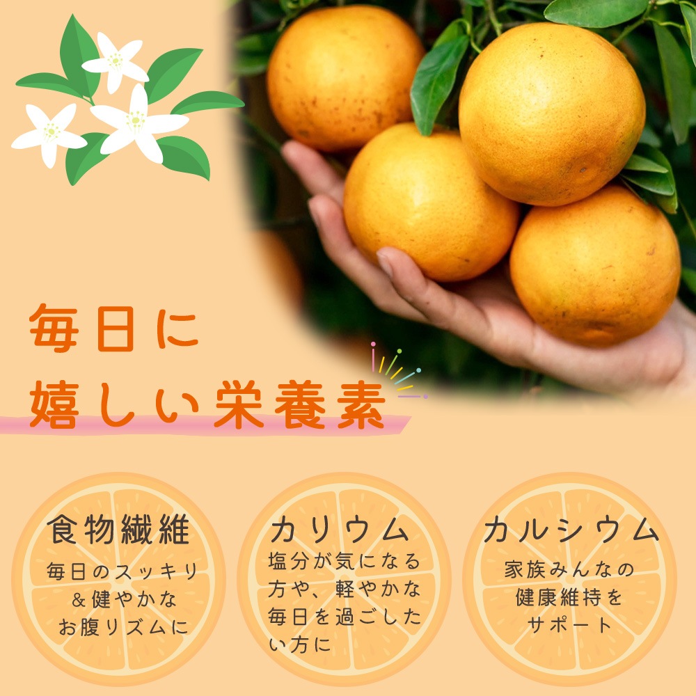 完熟 ドライオレンジ 150g 砂糖不使用 個包装 【送料無料】