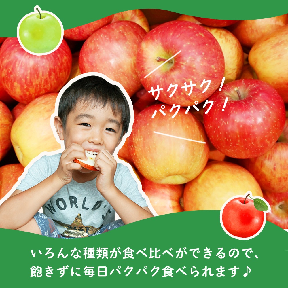 10月出荷予定 【産地発送】 青森県りんご食べ比べセット （5種以上11～12個入り）