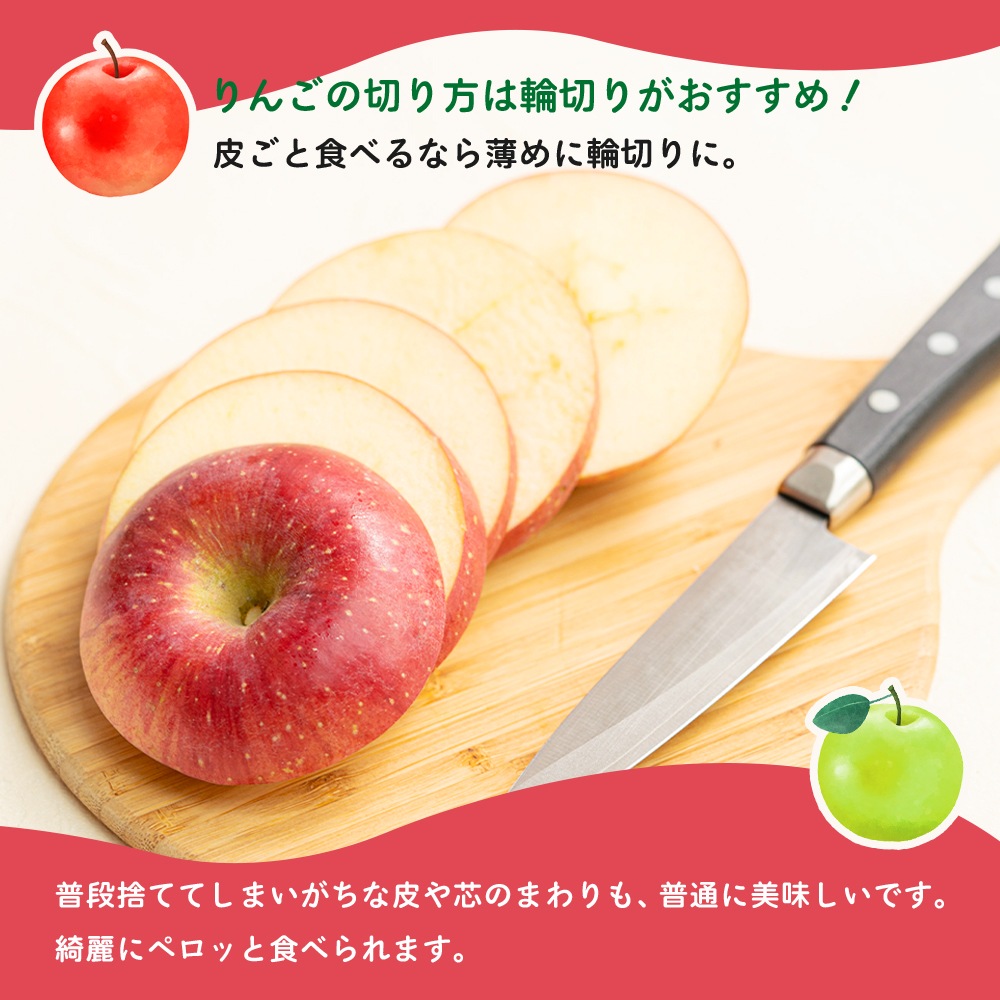 10月出荷予定 【産地発送】 青森県りんご食べ比べセット （5種以上11～12個入り）