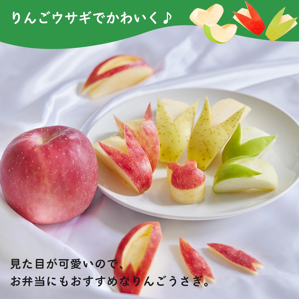 10月出荷予定 【産地発送】 青森県りんご食べ比べセット （5種以上11