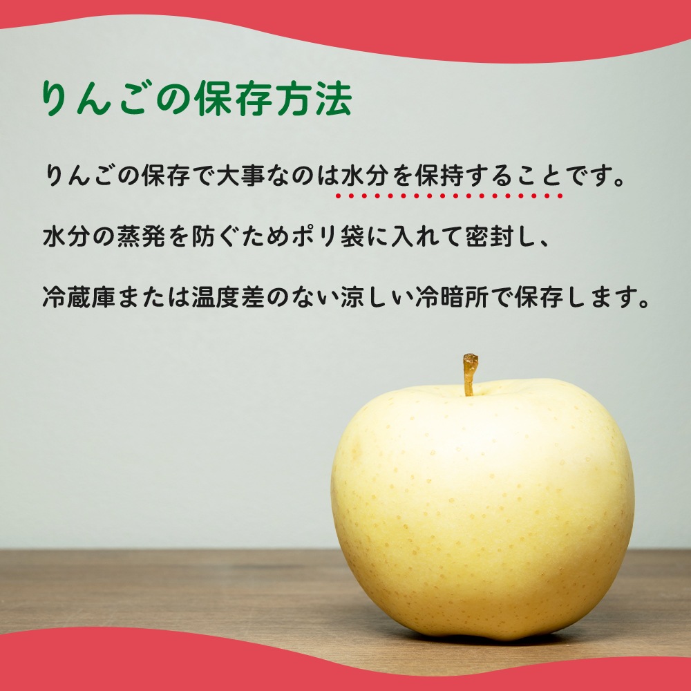 10月出荷予定 【産地発送】 青森県りんご食べ比べセット （5種以上11～12個入り）