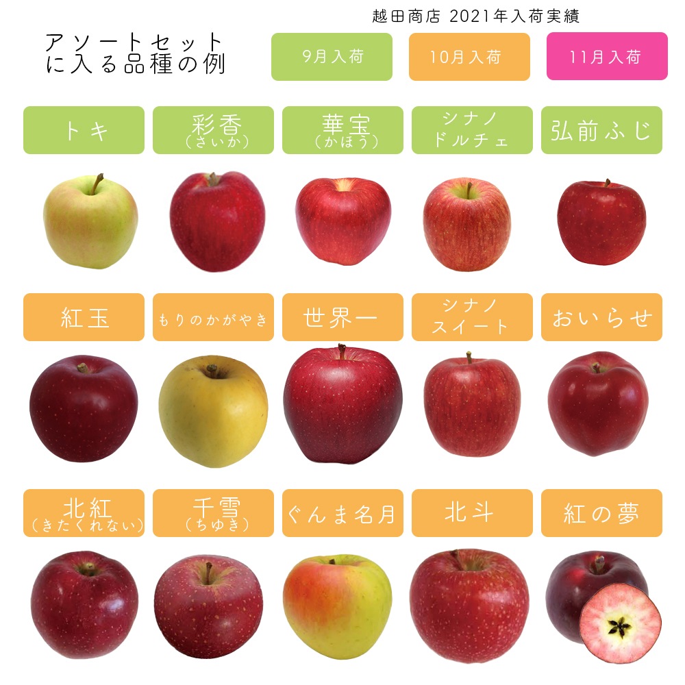 10月出荷予定 【産地発送】 青森県りんご食べ比べセット （5種以上11～12個入り）