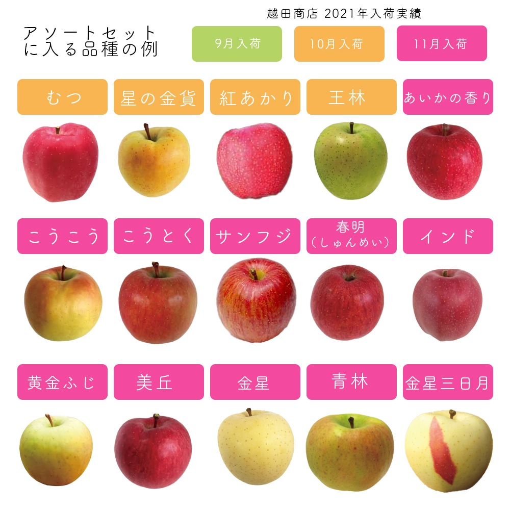 10月出荷予定 【産地発送】 青森県りんご食べ比べセット （5種以上11～12個入り）
