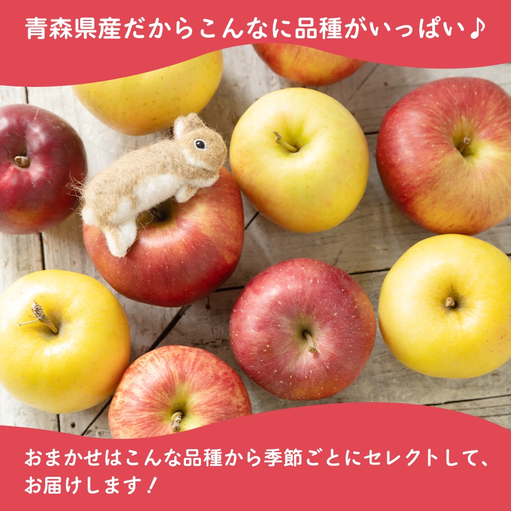 食べ比べセット！青森県産あさゆき&amp;まっしぐら各5㎏×2 令和5年青森県産米食べ比べセットまっしぐら&あさゆき各5kg×2計