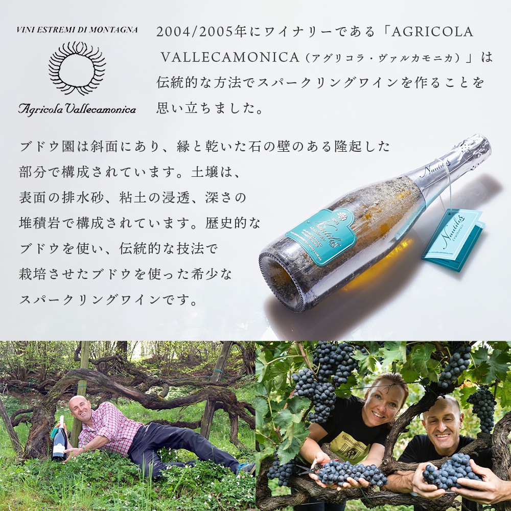 【クール便配送】 ワイン ノーチラス・クラストリコ 2015 湖底熟成ワイン【送料無料】