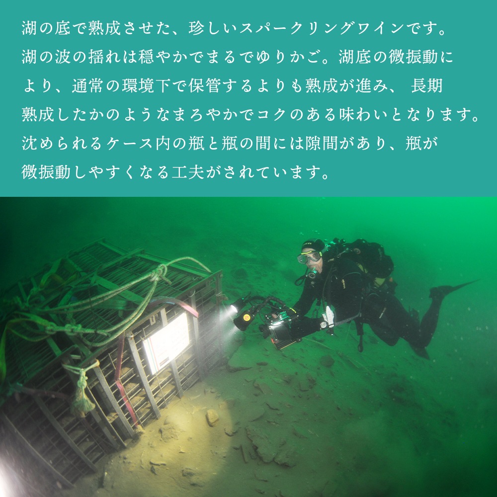【クール便配送】 ワイン ノーチラス・クラストリコ 2015 湖底熟成ワイン【送料無料】