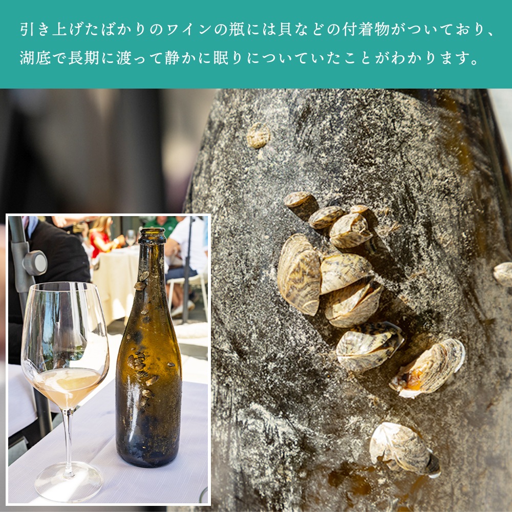 【クール便配送】 ワイン ノーチラス・クラストリコ 2015 湖底熟成ワイン【送料無料】