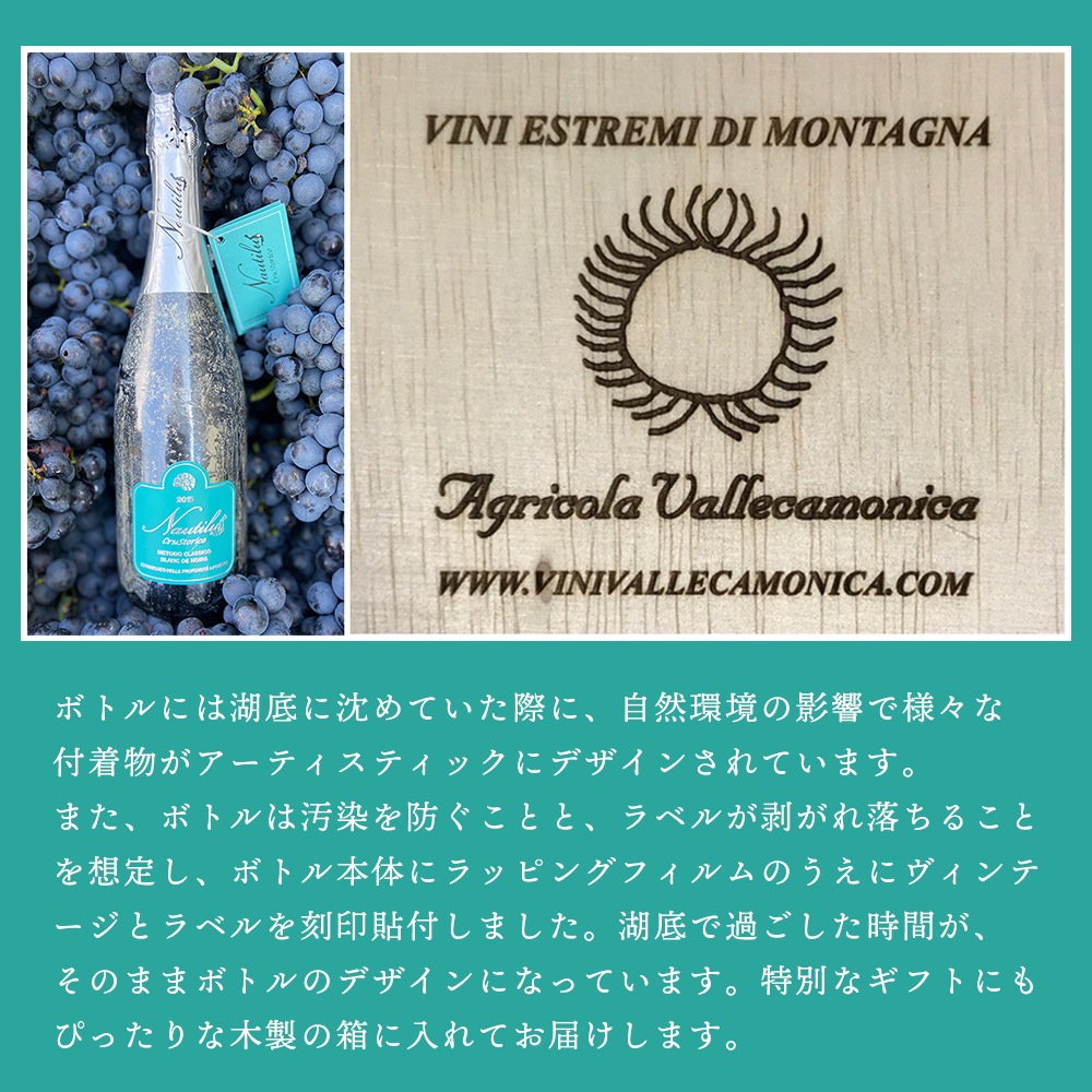 【クール便配送】 ワイン ノーチラス・クラストリコ 2015 湖底熟成ワイン【送料無料】