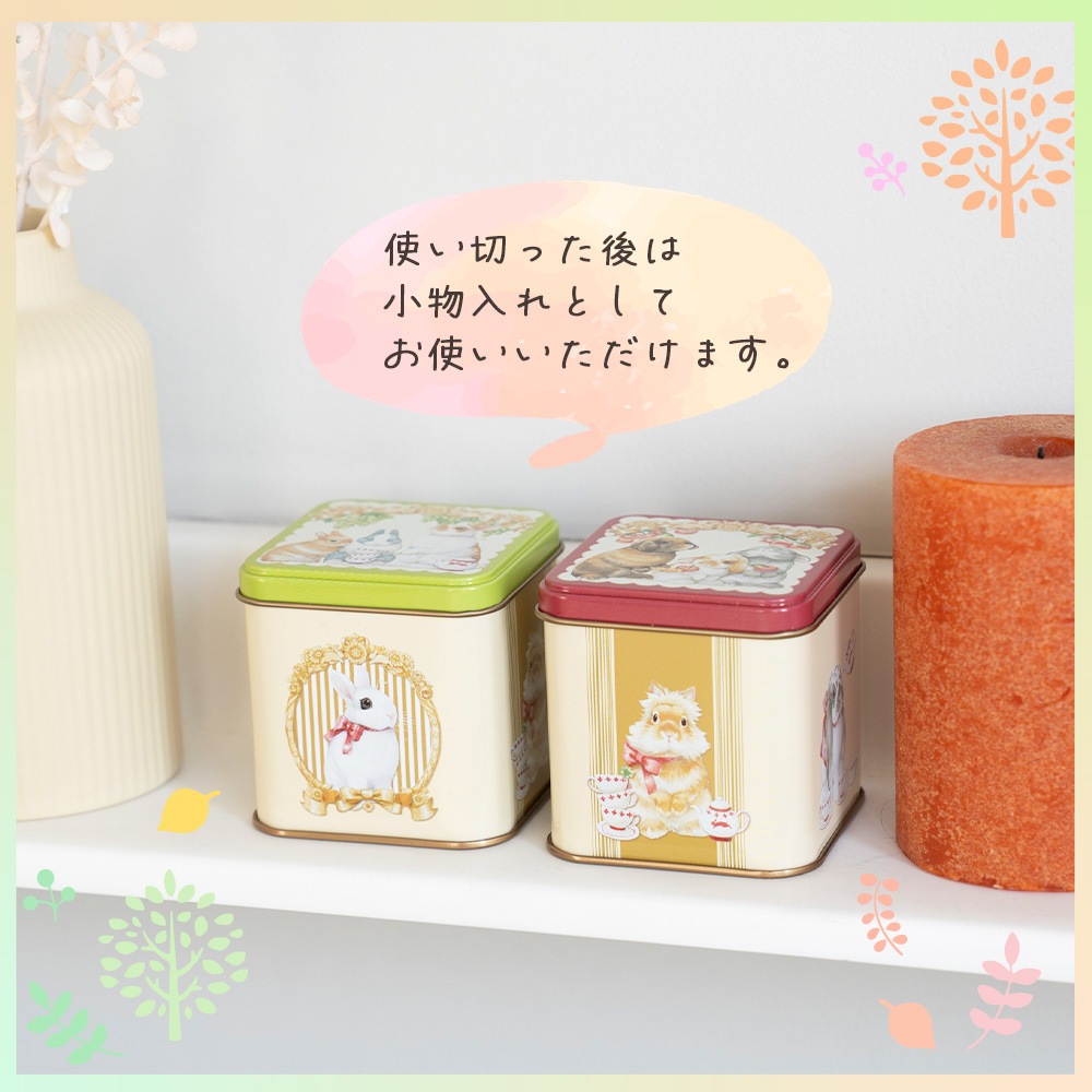 らびっとらん フルーツティー 紅茶缶 2g×10P 焼きりんご紅茶/マスカット紅茶【送料無料】