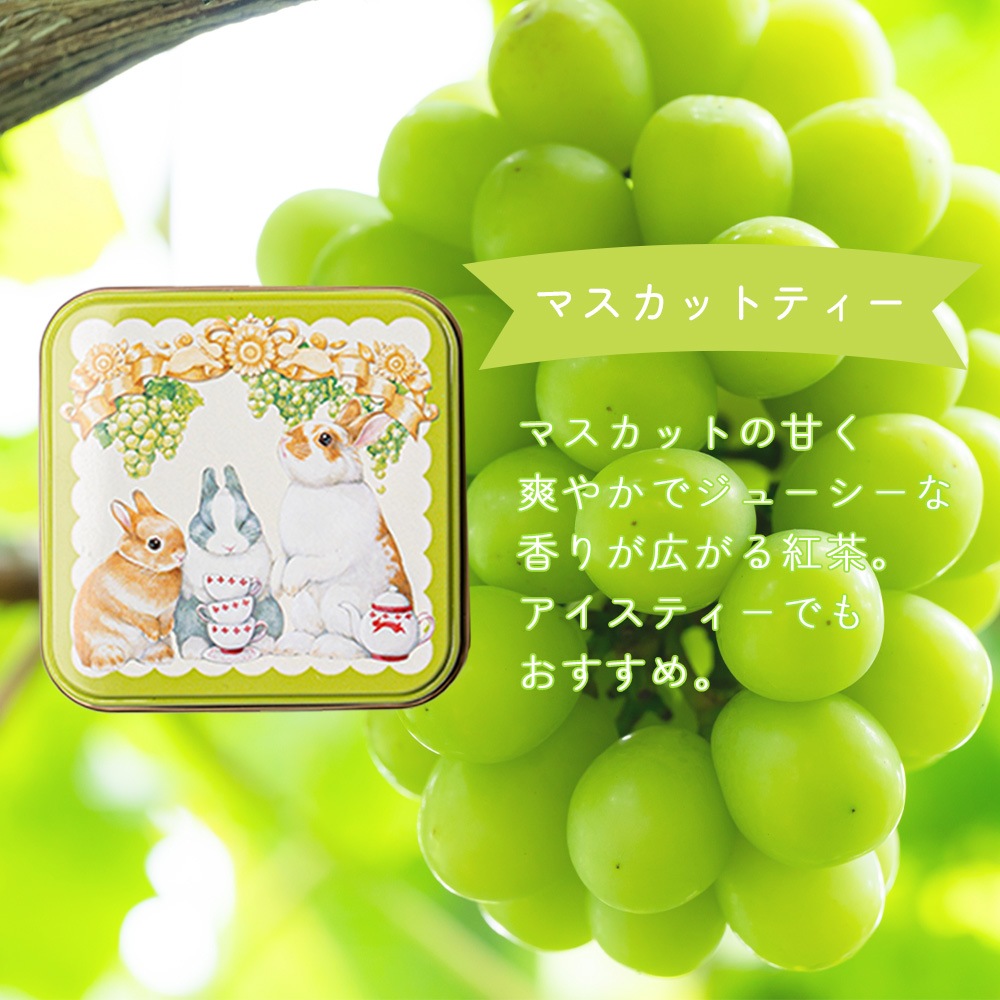 らびっとらん フルーツティー 紅茶缶 2g×10P 焼きりんご紅茶/マスカット紅茶【送料無料】