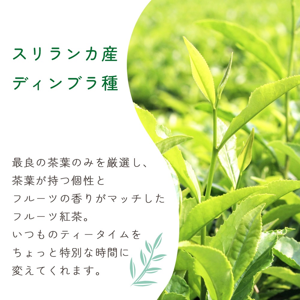 らびっとらん フルーツティー 紅茶缶 2g×10P 焼きりんご紅茶/マスカット紅茶【送料無料】