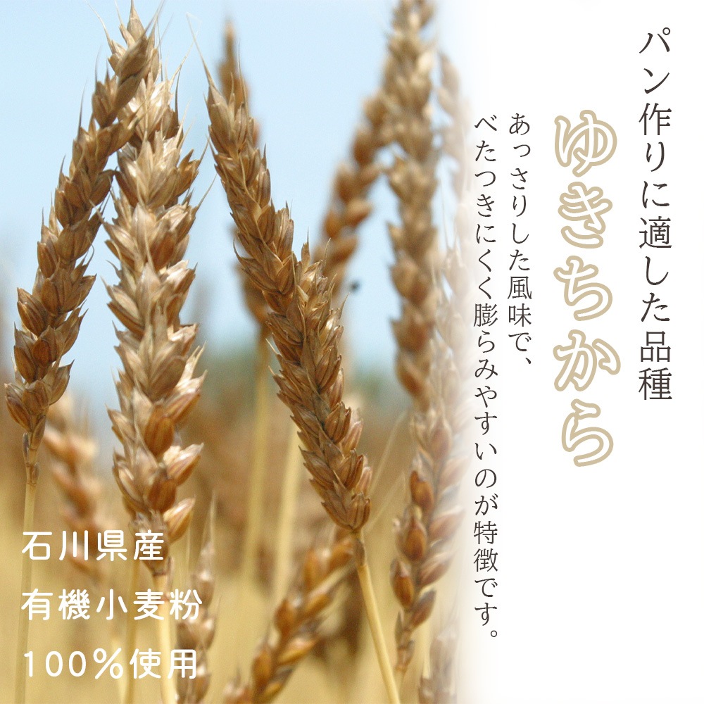 国産有機小麦粉 強力粉ゆきちから 500g