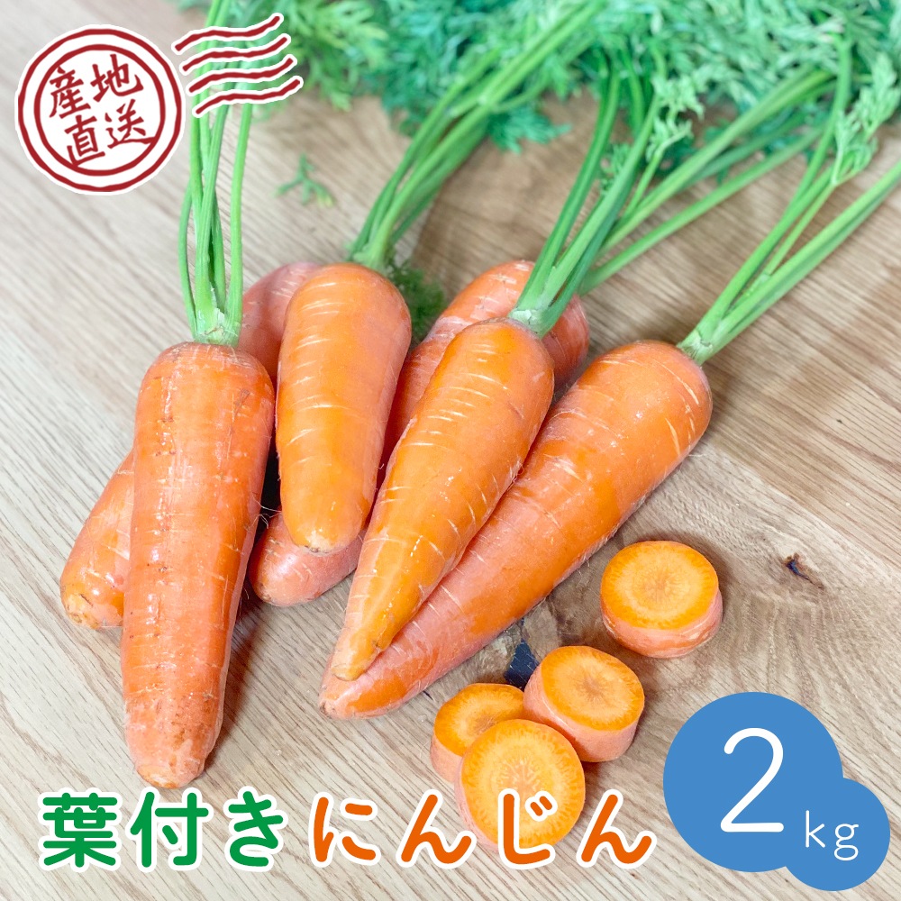 【産地直送】  栃木県産 葉付きにんじん 2kg 送料無料