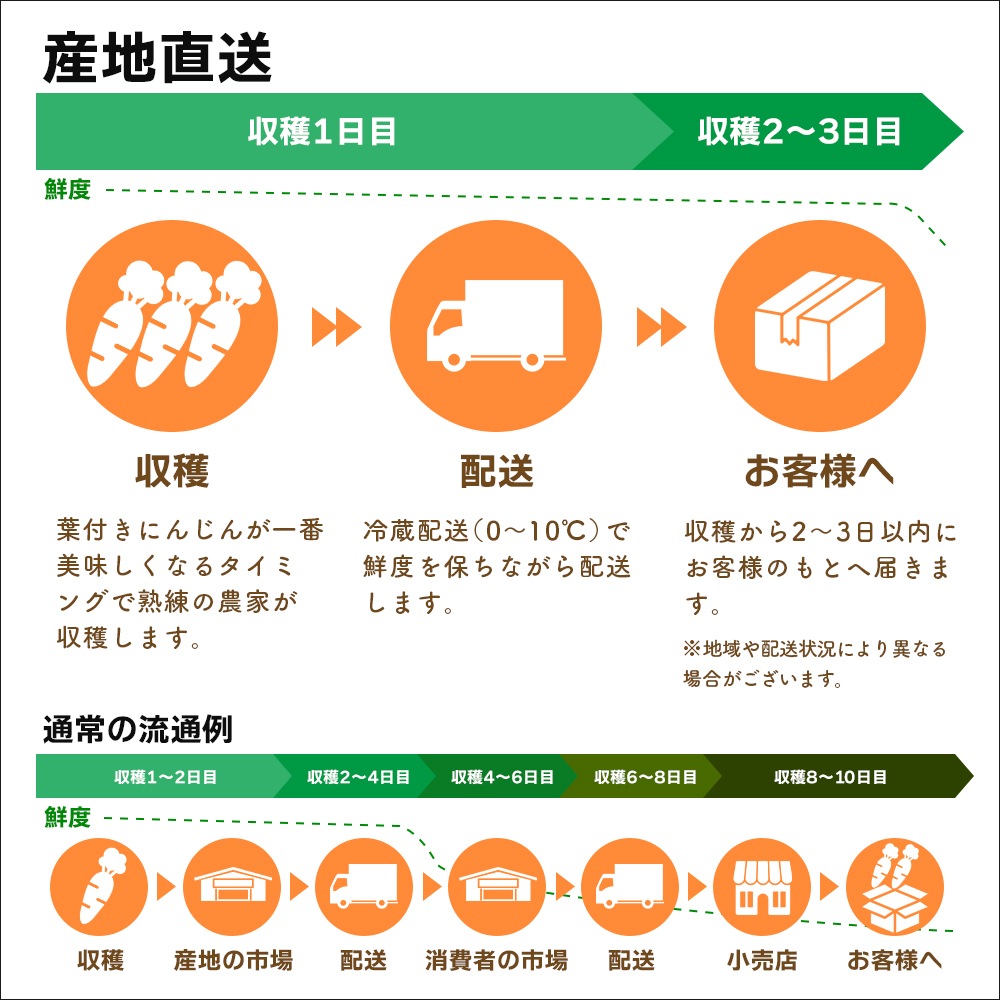 【産地直送】  栃木県産 葉付きにんじん 2kg 送料無料