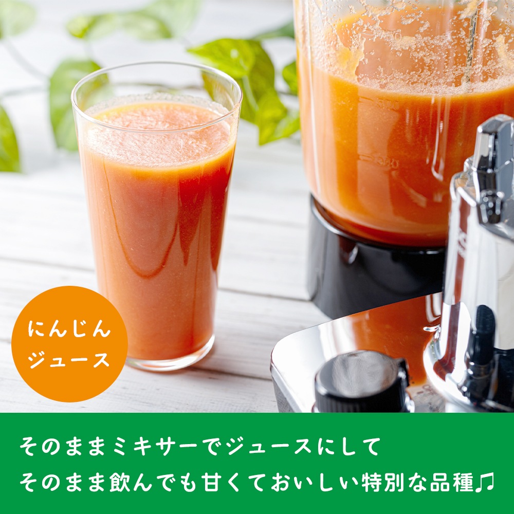 【産地直送】  栃木県産 葉付きにんじん 2kg 送料無料