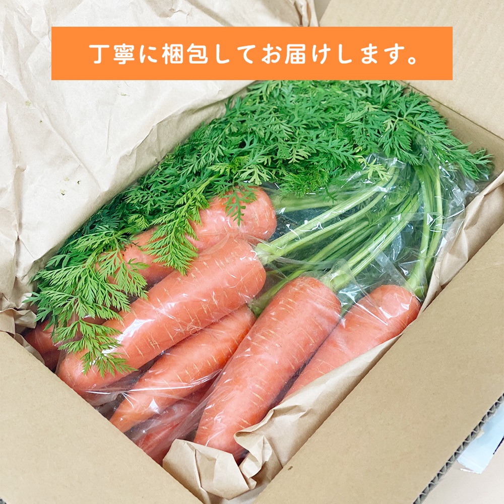 【産地直送】  栃木県産 葉付きにんじん 2kg 送料無料
