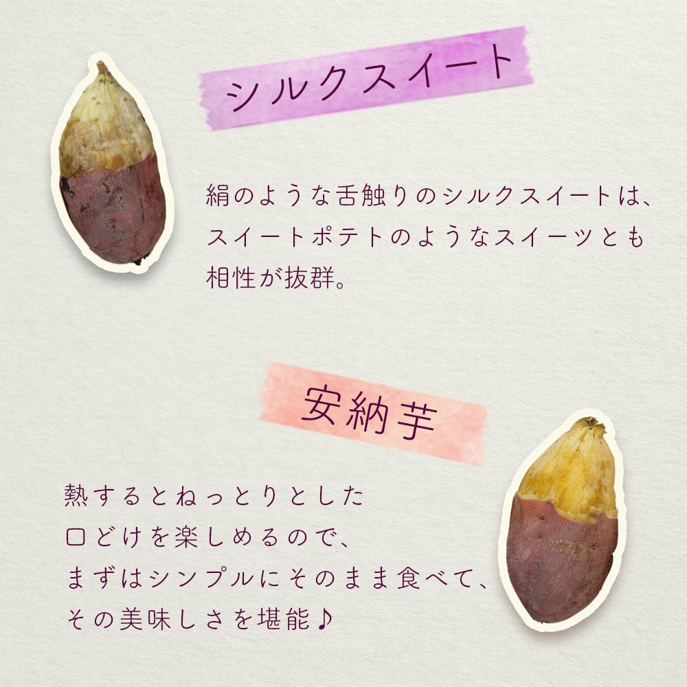 【産地直送】 5種類 栃木県産 さつまいも食べ比べセット 5kg 送料無料