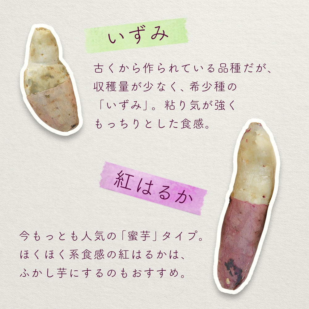 【産地直送】 5種類 栃木県産 さつまいも食べ比べセット 5kg 送料無料