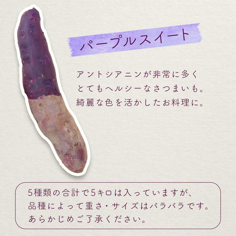 【産地直送】 5種類 栃木県産 さつまいも食べ比べセット 5kg 送料無料