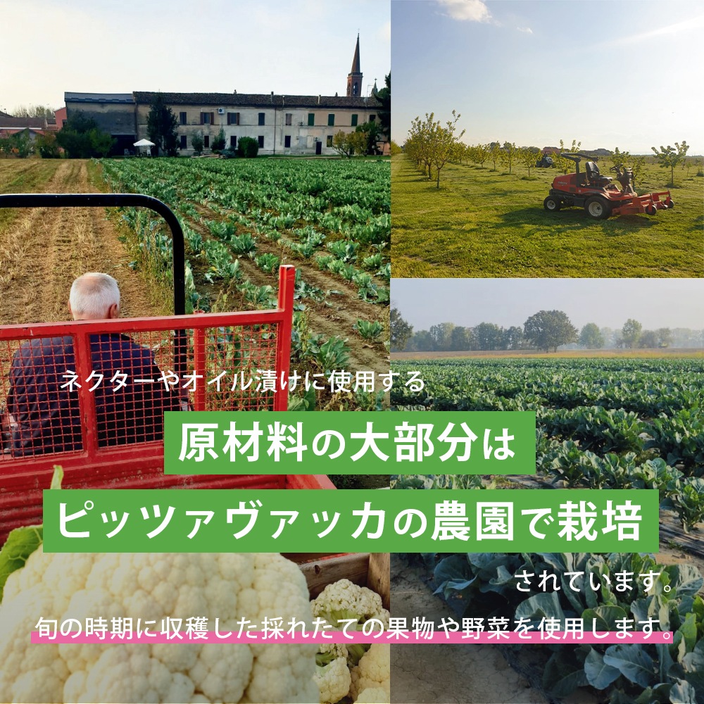 野菜のオイル漬け【送料無料】