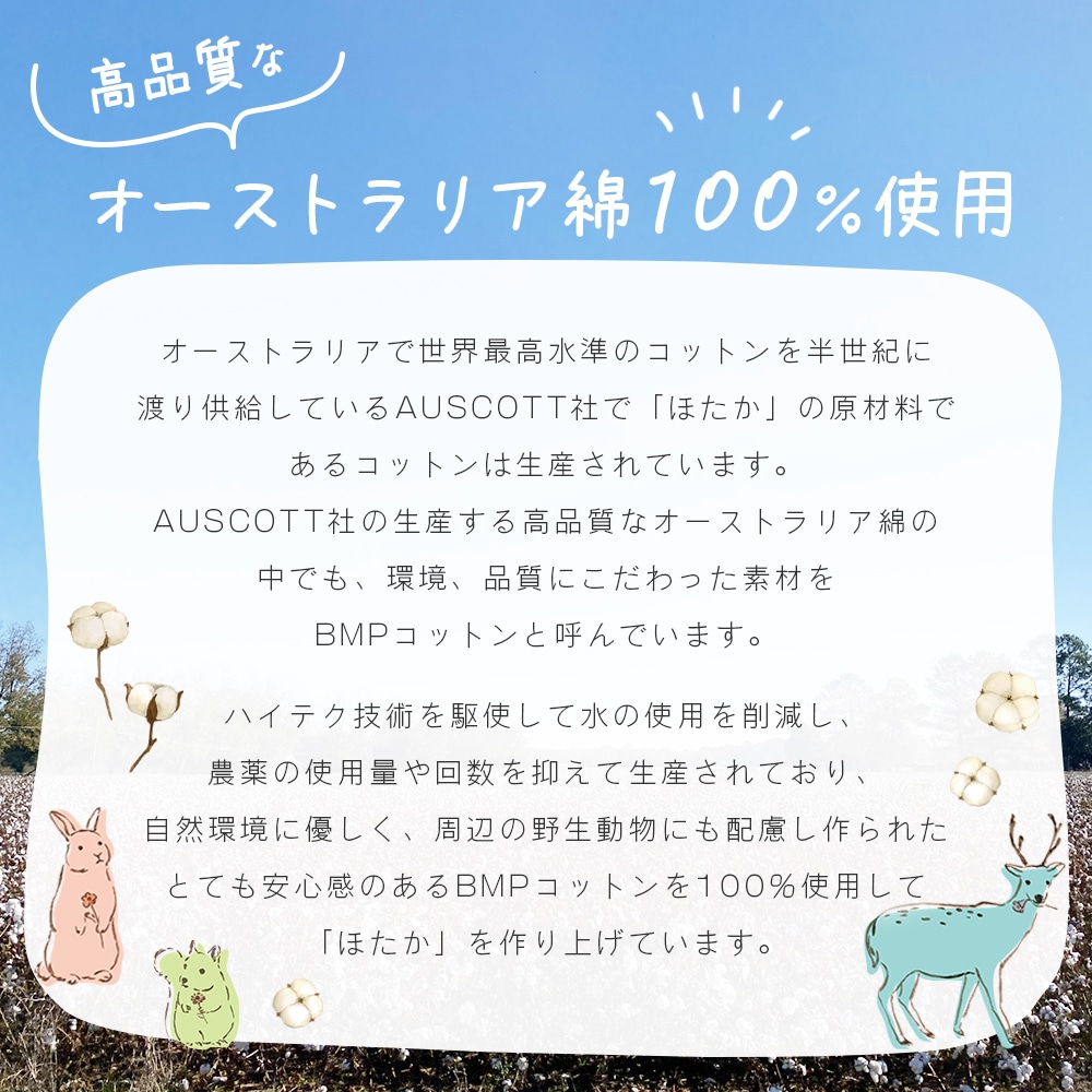 今治タオル ハンドタオル ほたか 選べるカラー 日本製