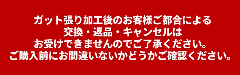 ��12���ȯ��ͽ�������ۥ����ȥ�����100ZZ VA AX100ZVA �Хɥߥ�ȥ� �饱�å� ��ͥå��� YONEX ASTROX100ZZ VA �ӥ������������륻�󥳥쥯����� �ǿ���ǥ� �Хɥߥ�ȥ� �饱�å� ��ͥå��� �Хȥߥ�ȥ� �饱�å� ���ܥХɥߥ�ȥ󶨲񿳺������ ������