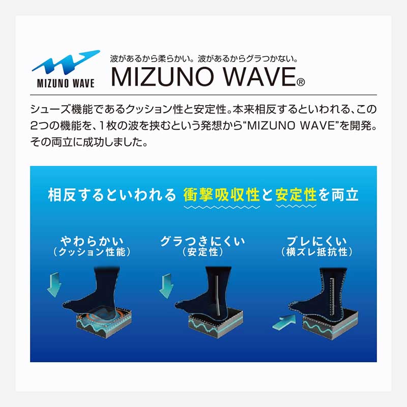 �������֥���������6 OC 61GB2512 2E���� ���졼��������͹��ǥ����� ��˥��å��� �˽����� ���եȥƥ˥����塼�� �������򴹱�������̵�� ���եȥƥ˥� ���塼�� �ߥ���