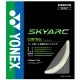 ��ͥå��� �Хɥߥ�ȥ󥹥ȥ�� ���åȡ�BGSKY��SKYARC ������������ YONEX